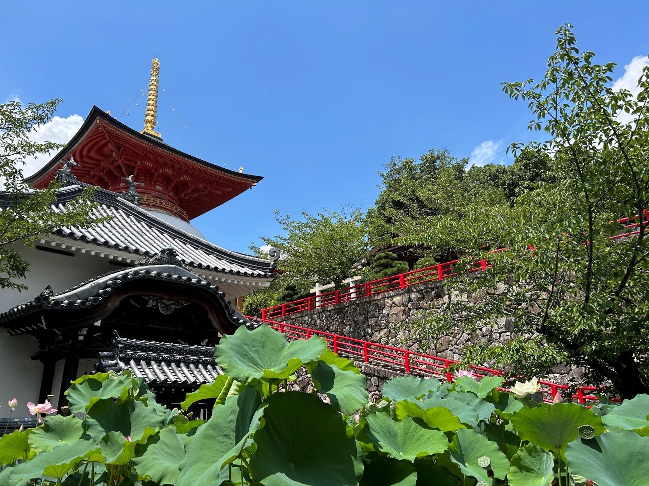 株式会社エスト24 ブログ宝塚市中山寺
