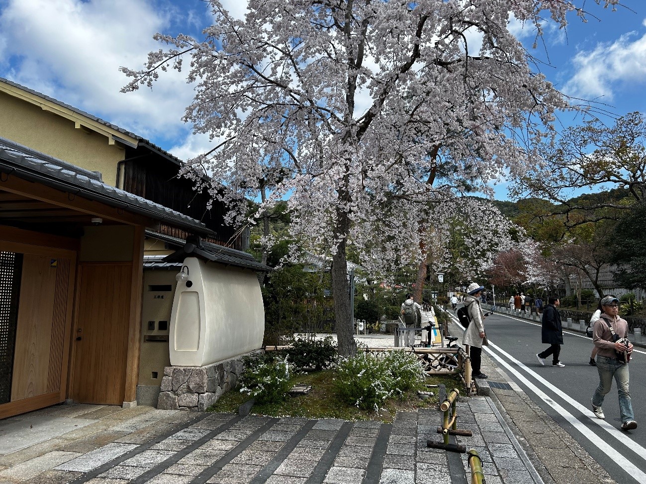株式会社エスト24 桜シーズン 京都/蹴上インクライン