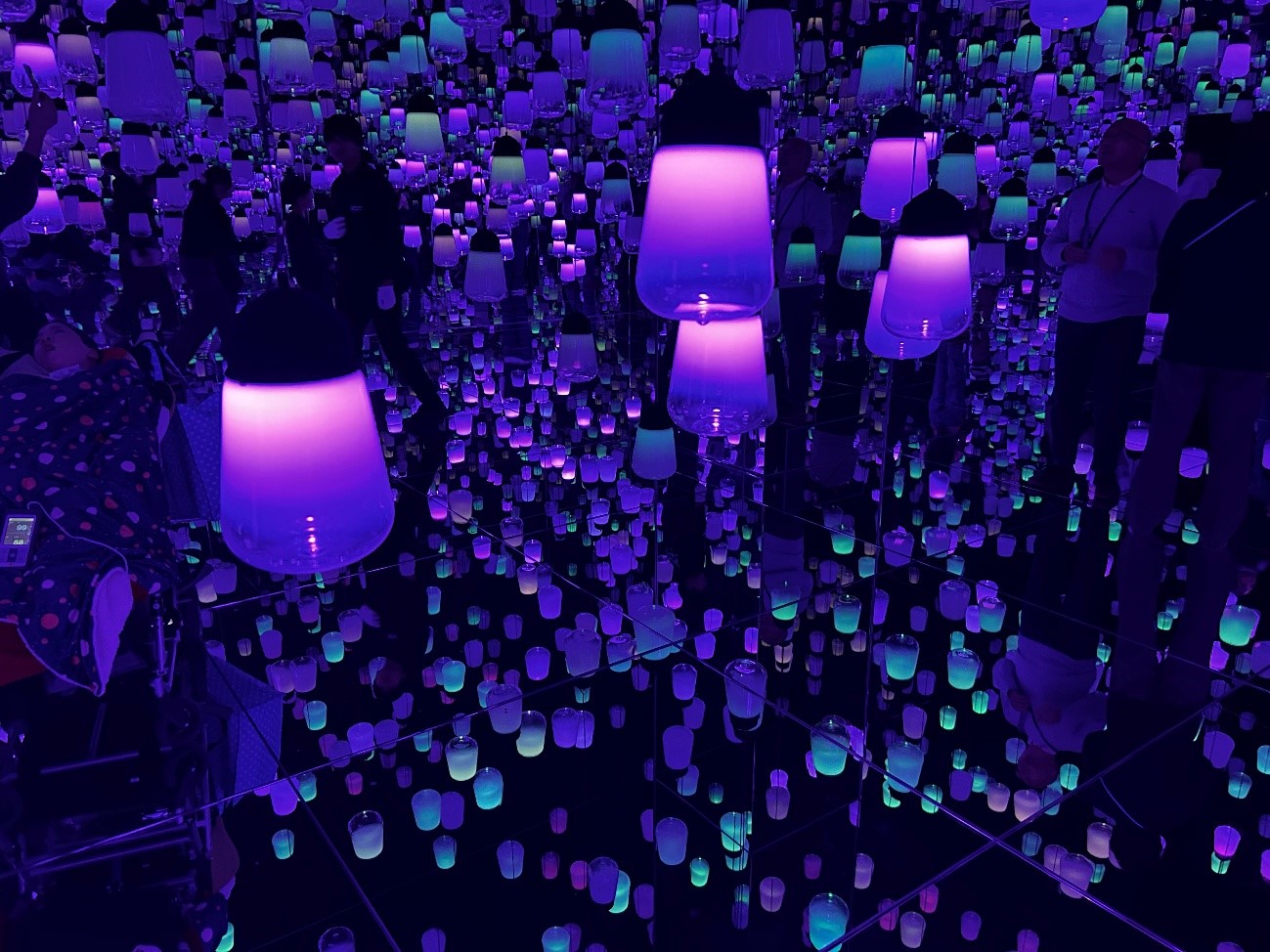 株式会社エスト24 チームラボin京都