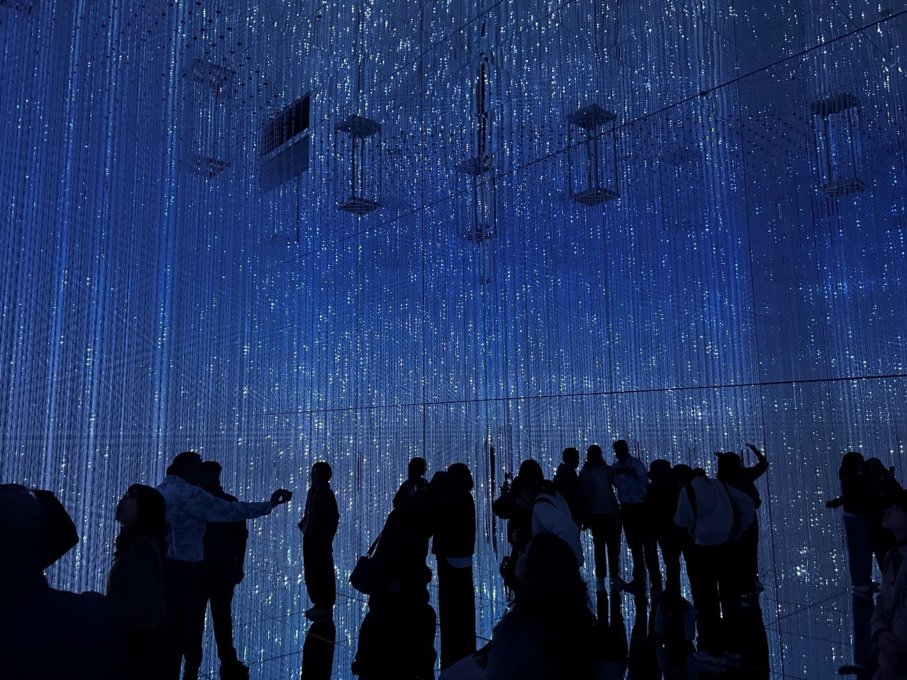 株式会社エスト24 チームラボin京都